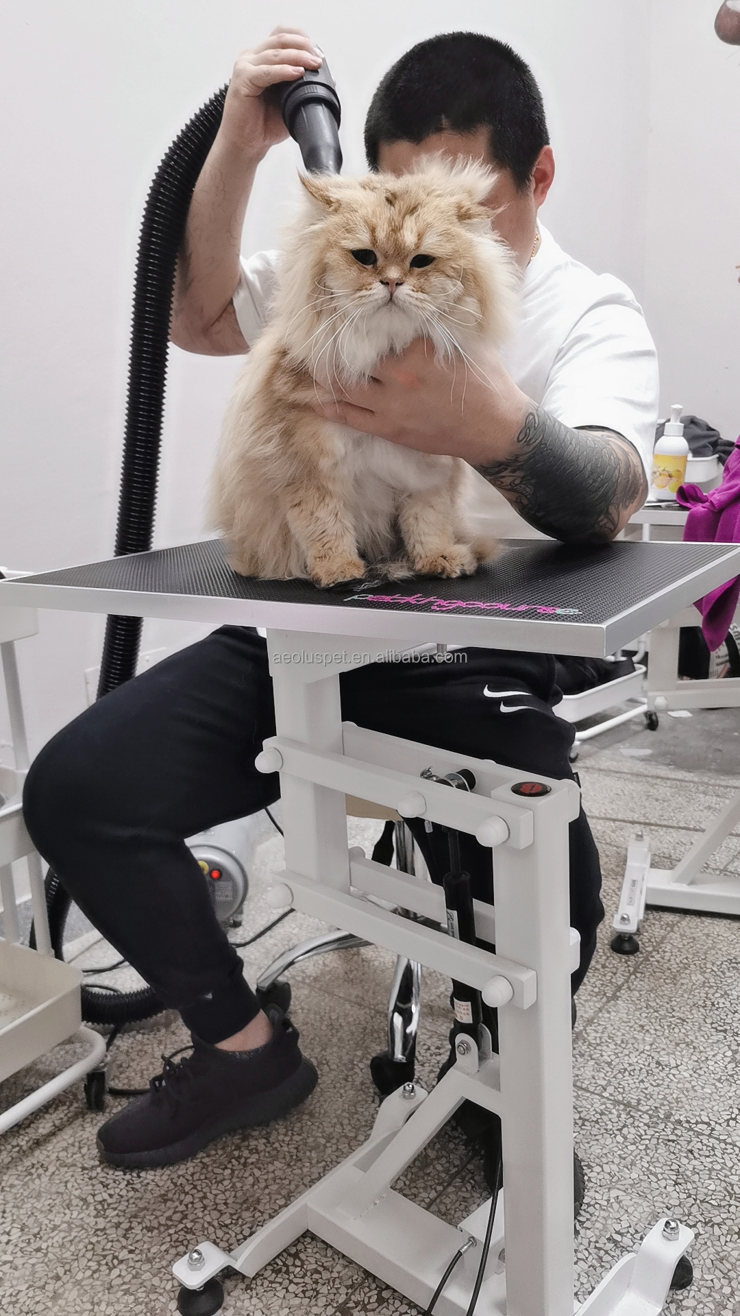 Pet Grooming Service 6