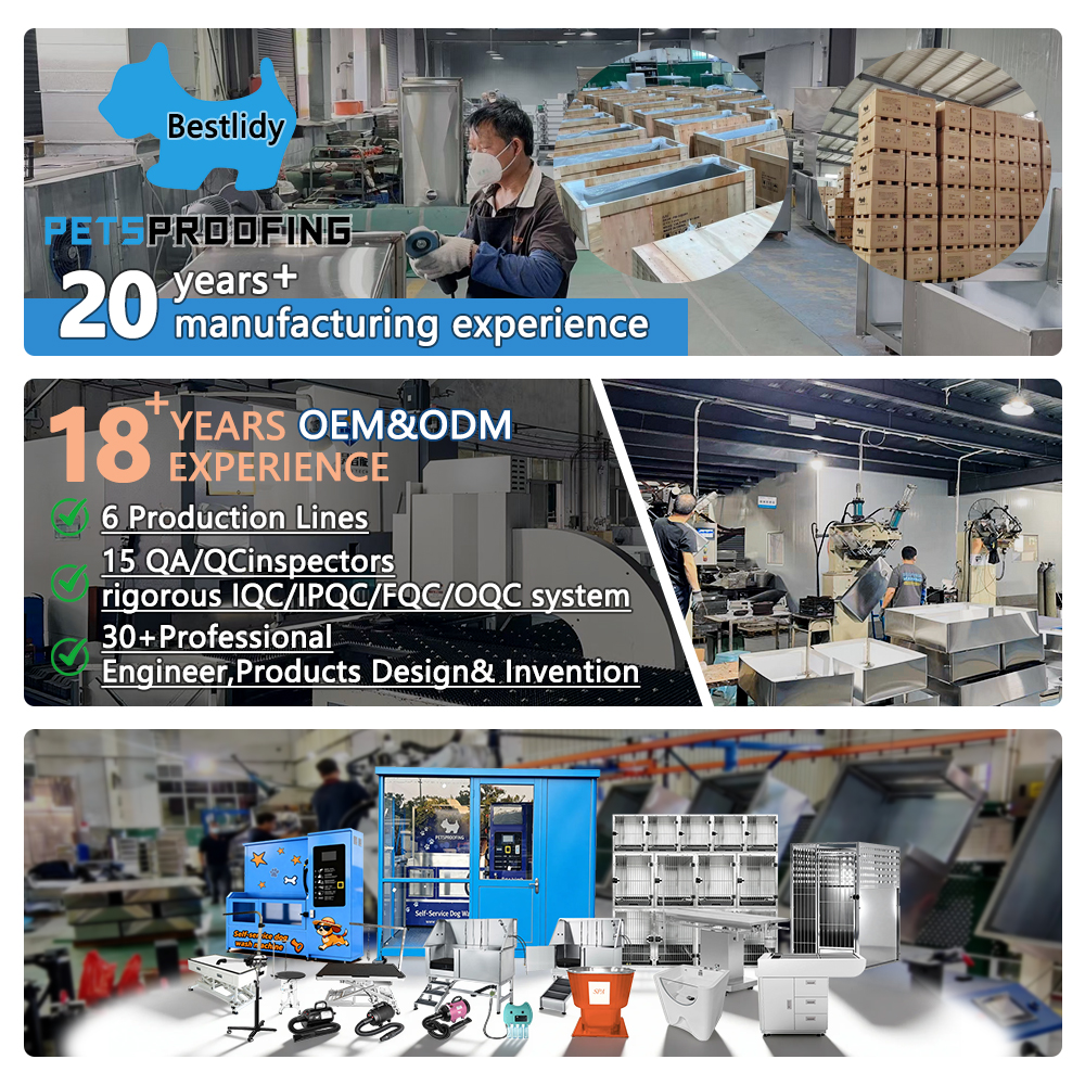 Clinic Luxury Veterinary Heavy Duty Modular Breeding Animal Stainless Steel Vet Pet Dog Cage Kennel Cages With Solid Walls