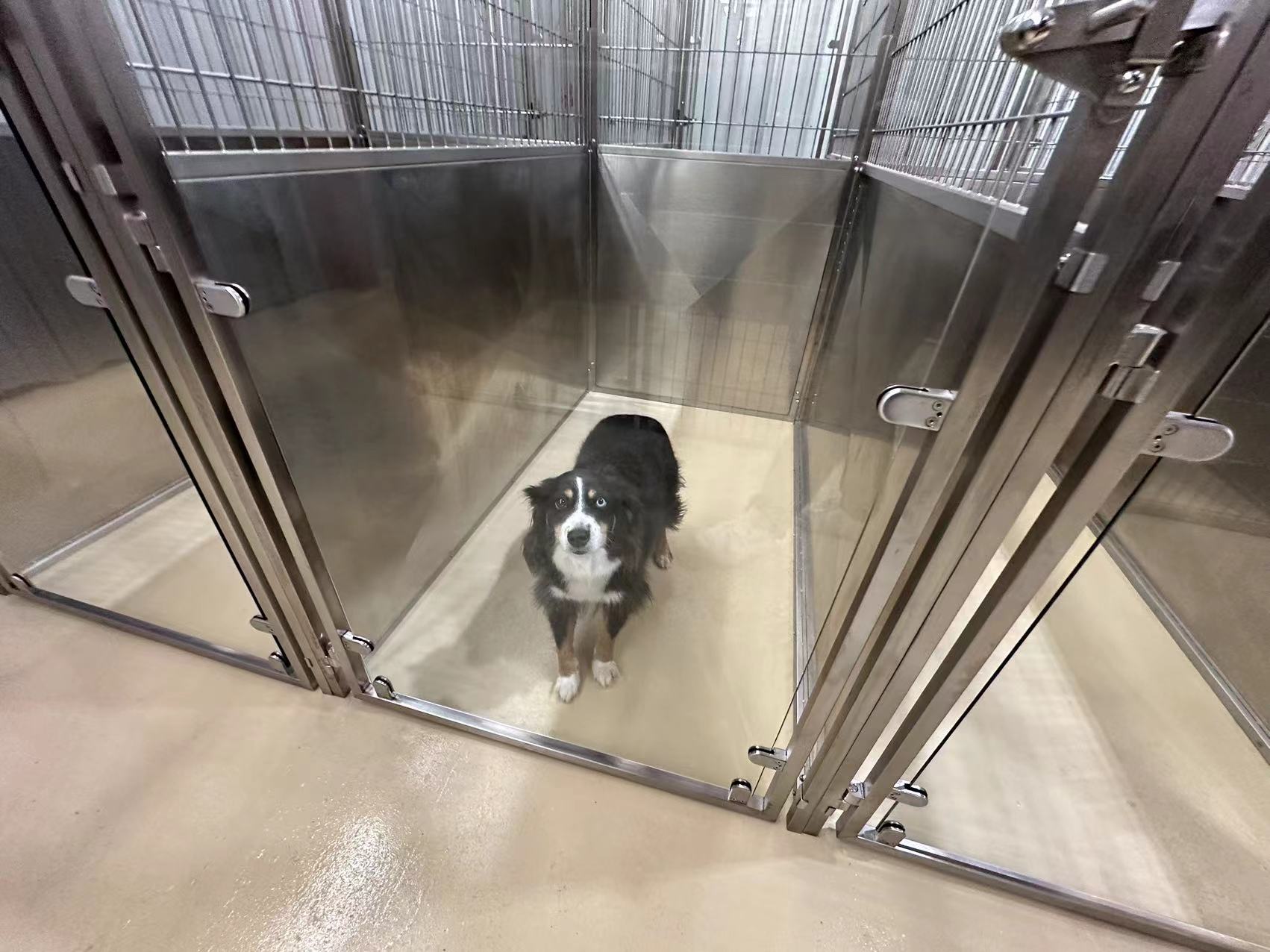 Large Hotel Pet Boarding Modular Large Dog Luxury Kennels Multifunction 3D Customization Pet Kennel Cage