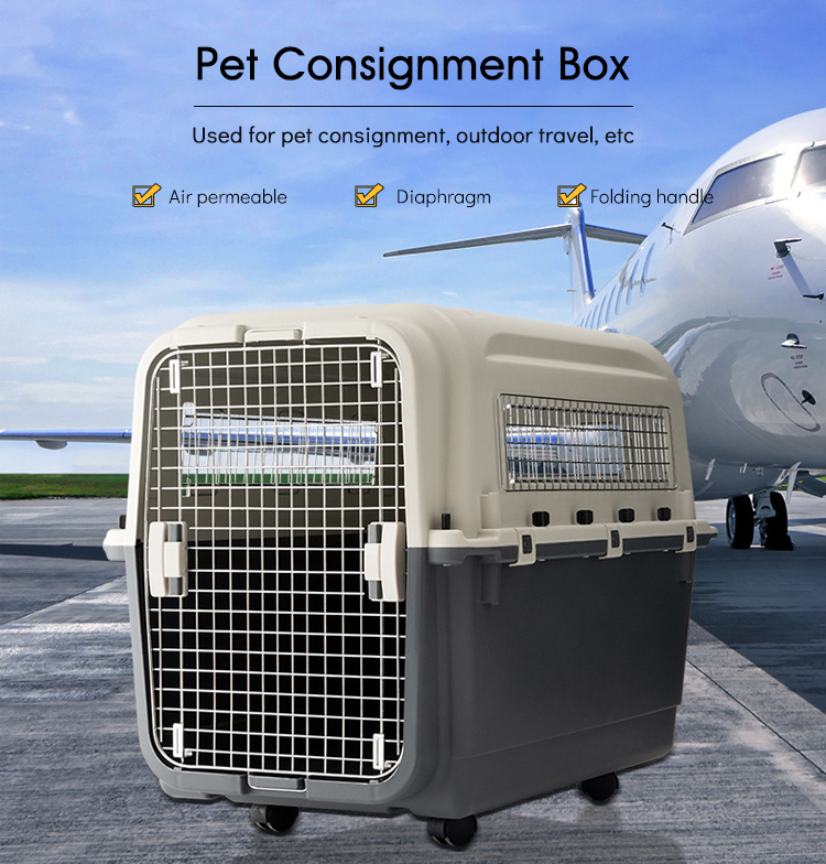 Pet Carrier Display 2
