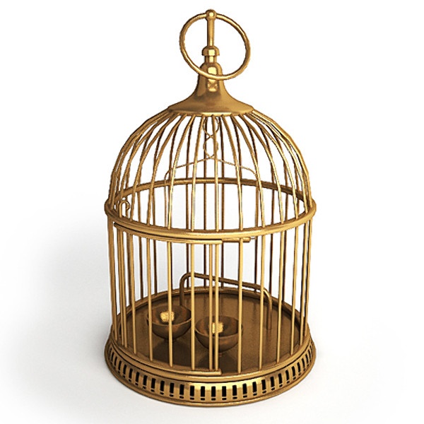 Iron Bird Cage With Removable Bottom Tray And Easy Access Doors Simplifying Cleaning And Maintenance Process