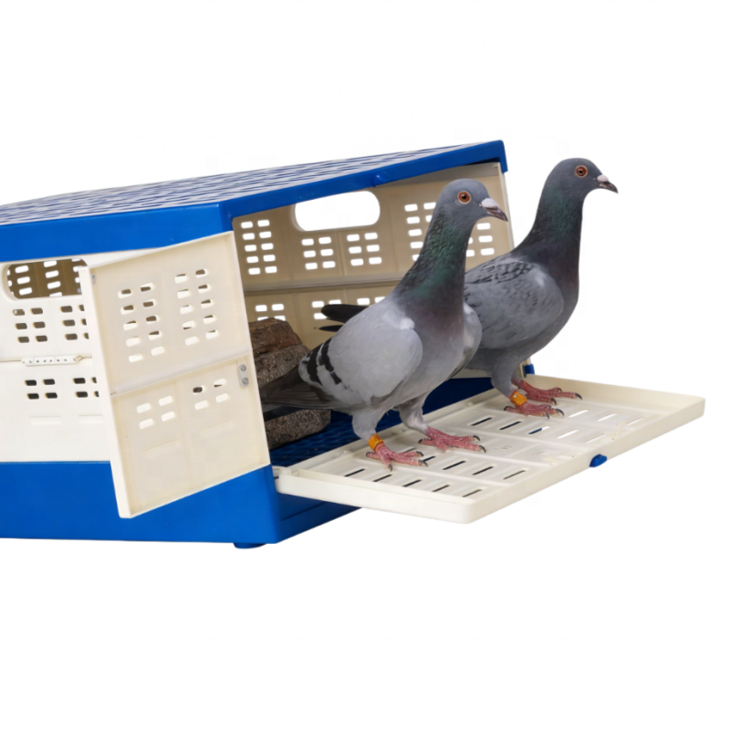Foldable Plastic Pigeon Flying Cage for Bird Breeding Bird Carrier Portable Transport Crate Racing Pigeon Cage Training Box