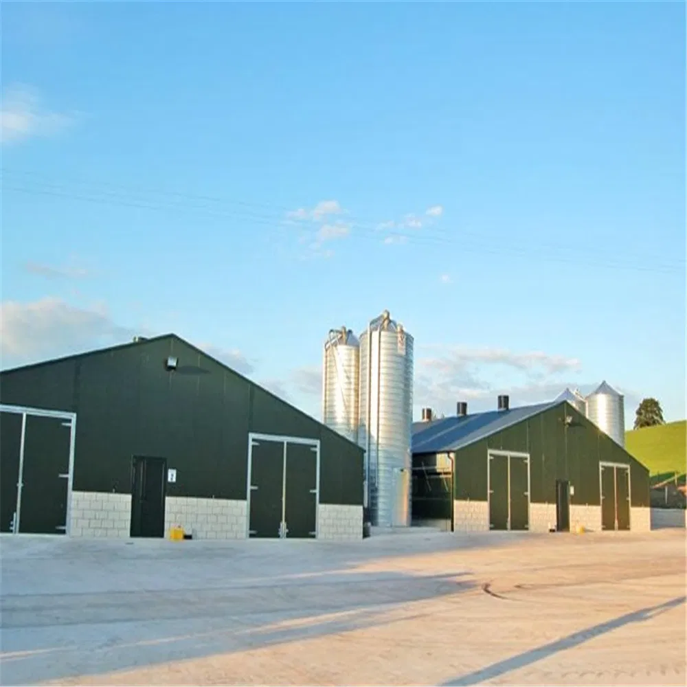 Turnkey Steel Structure Poultry and Livestock Housing Solutions From Professional Manufacturer Supplier