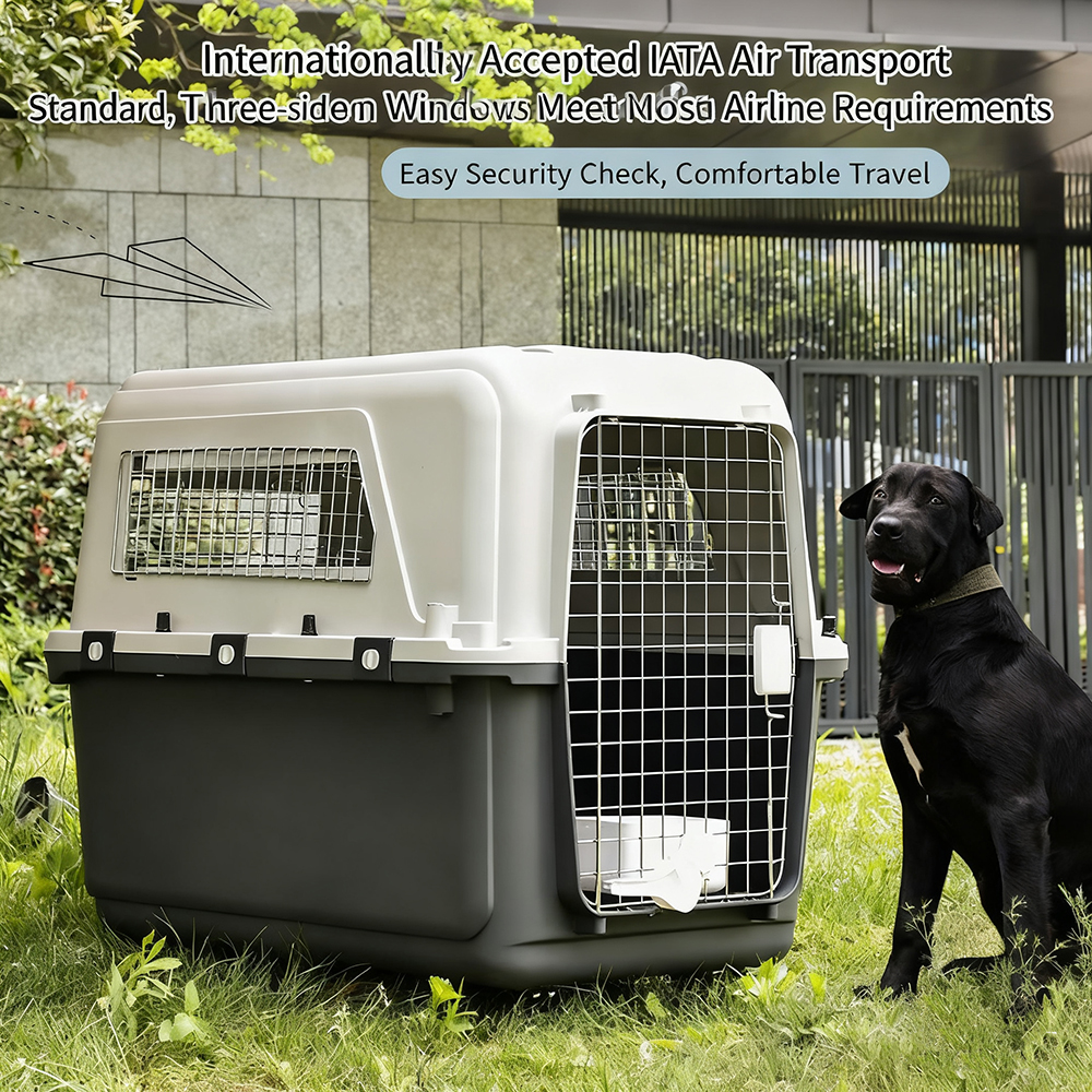 Fast Delivery Airline Approved Large Plastic Kennel on Wheels Solid Pattern Iron Pet Dog Cat Carrier Crate Cage on Sale