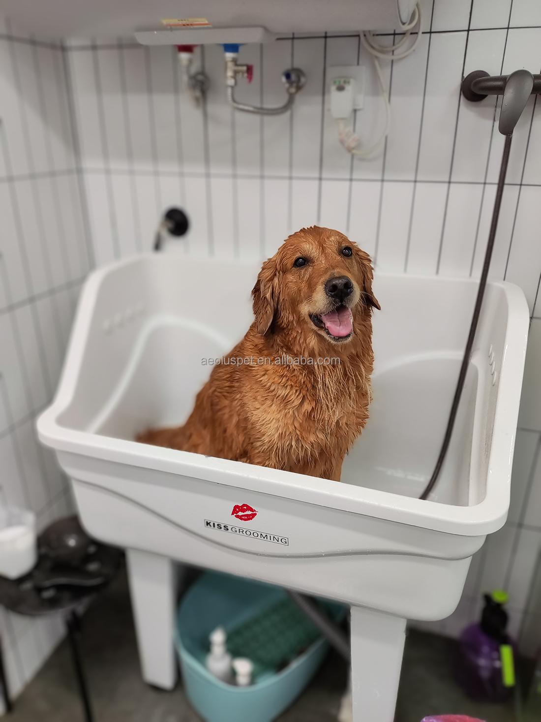 Pet Grooming Service 2