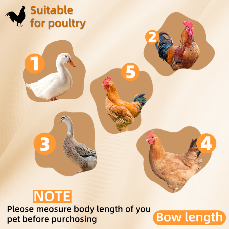 Easy-to-Clean Stainless Steel Chicken Coop with Removable Tray