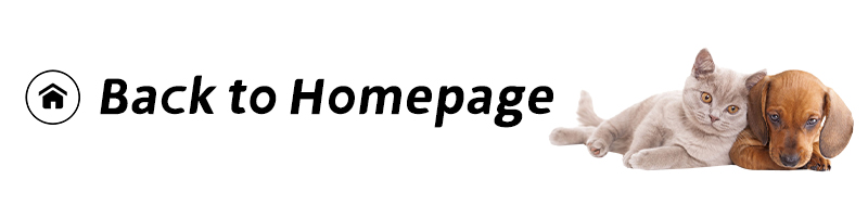 Footer Banner