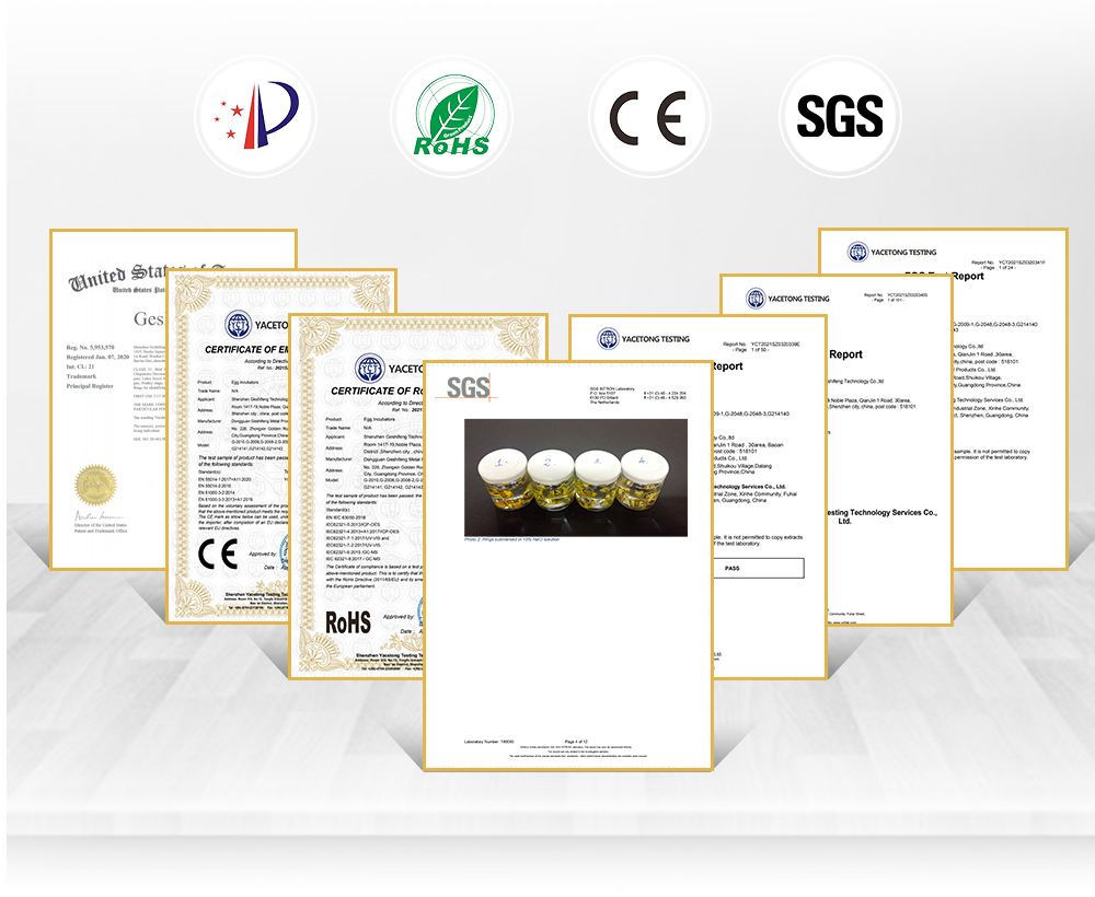 Company display 2