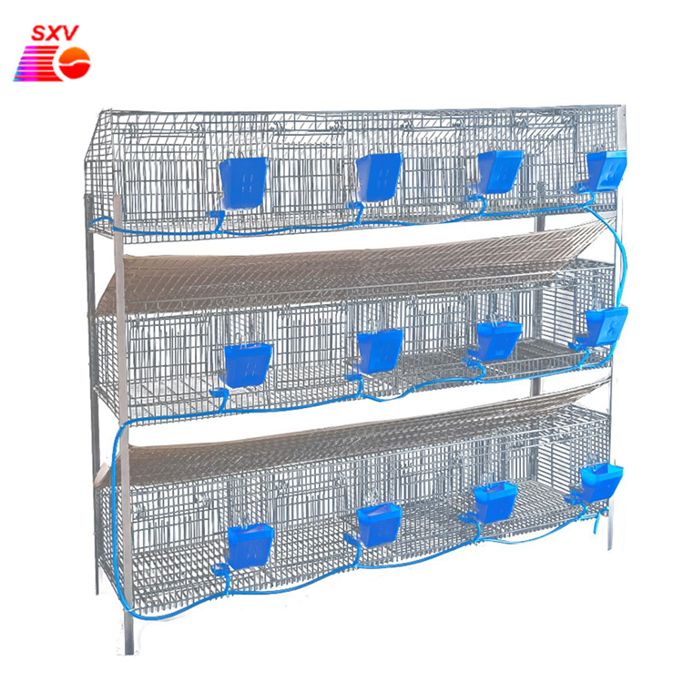 Commercial Rabbit Farm Equipment New Mother And Baby Rabbit Layer Cage With Stand For Malaysia And Philippines