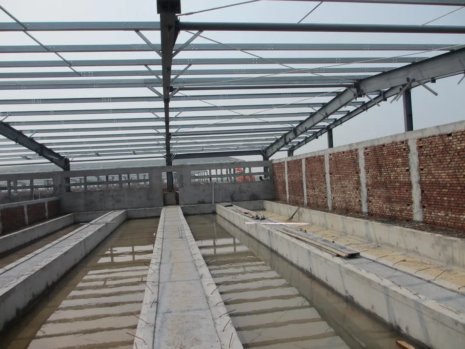 Steel Pig Barns Modular Housing Systems Quick-Install Poultry Farm Buildings Lightweight Structure