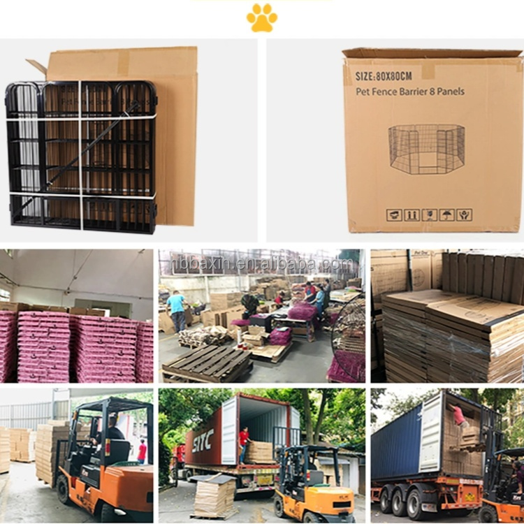 Safe Packaging and Delivery Setup