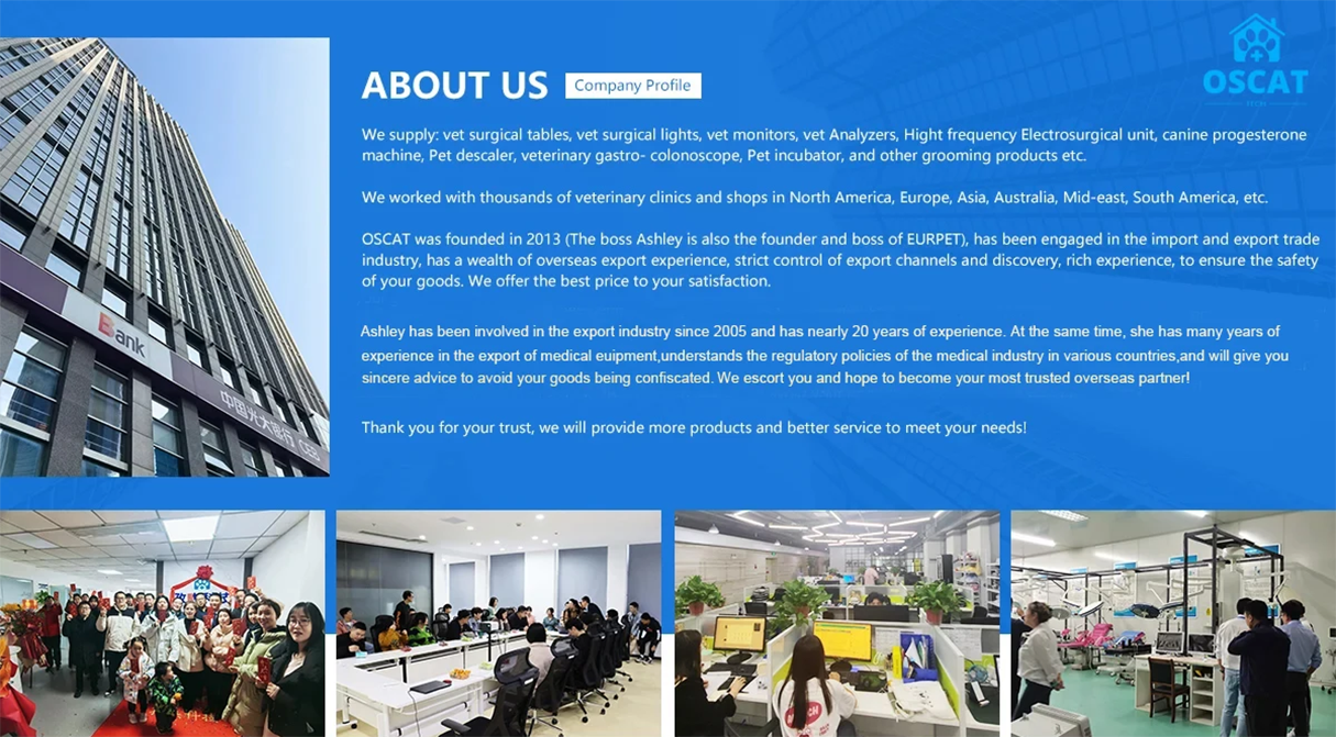 Company Overview 1