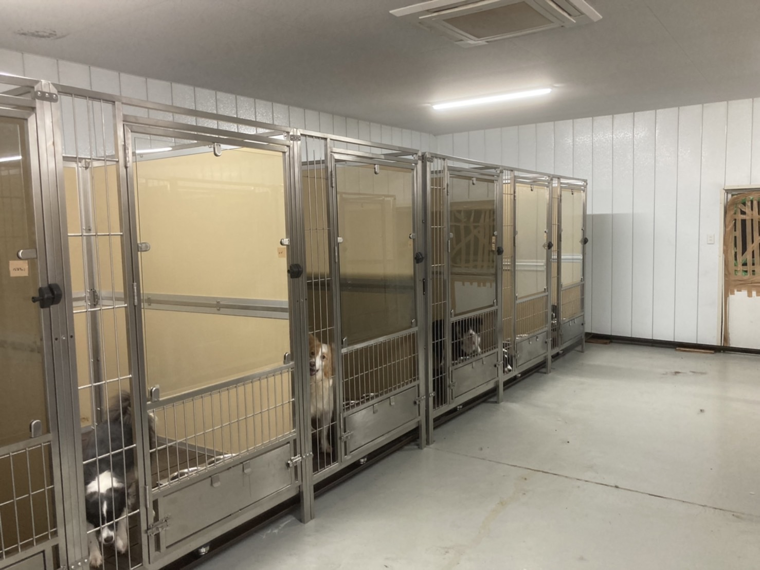 HDPE Daycare Kennel