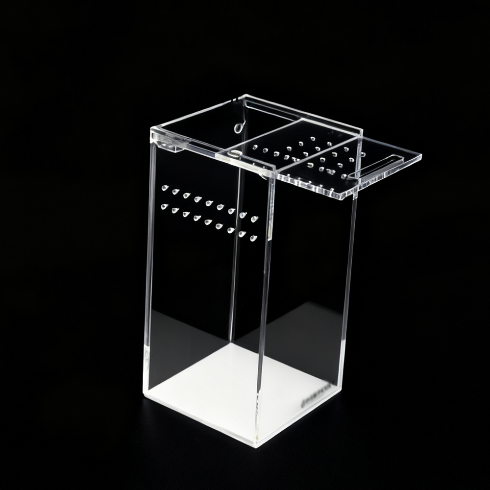 Product Presentation 2