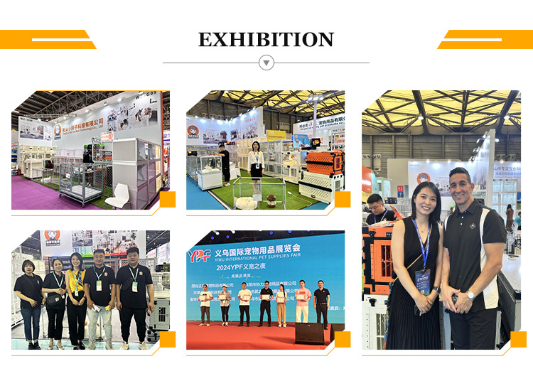Exhibition