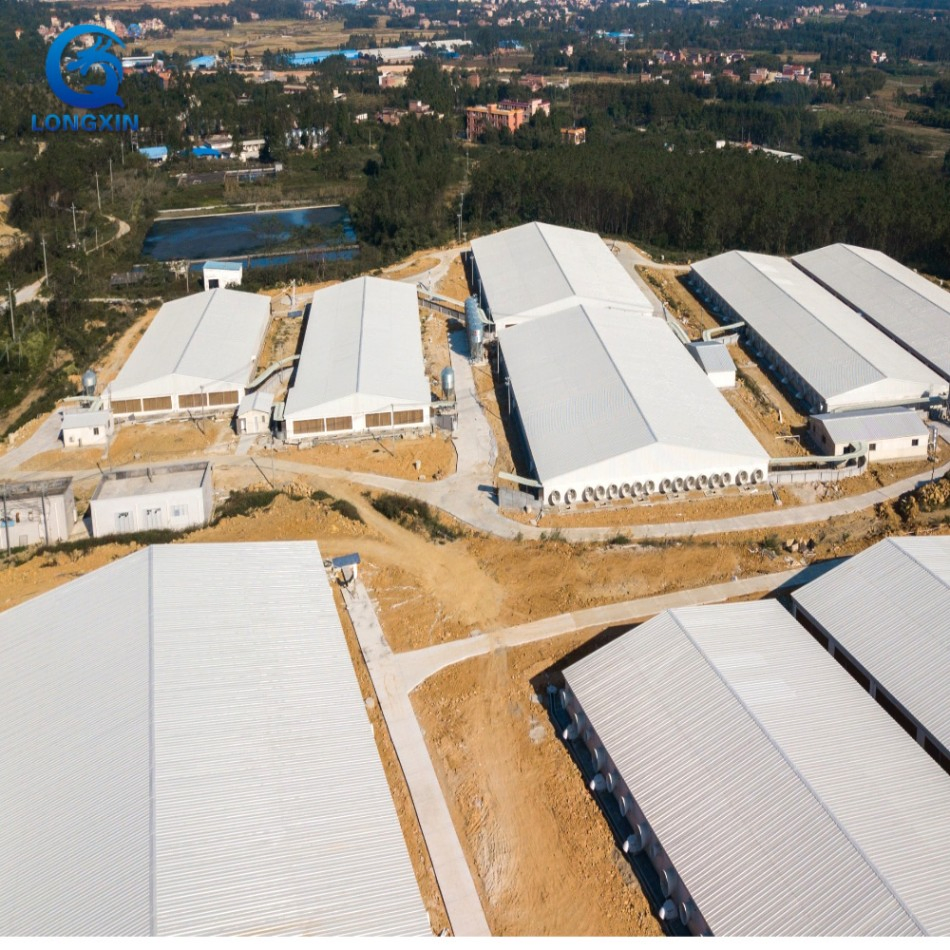 Steel Pig Barns Modular Housing Systems Quick-Install Poultry Farm Buildings Lightweight Structure