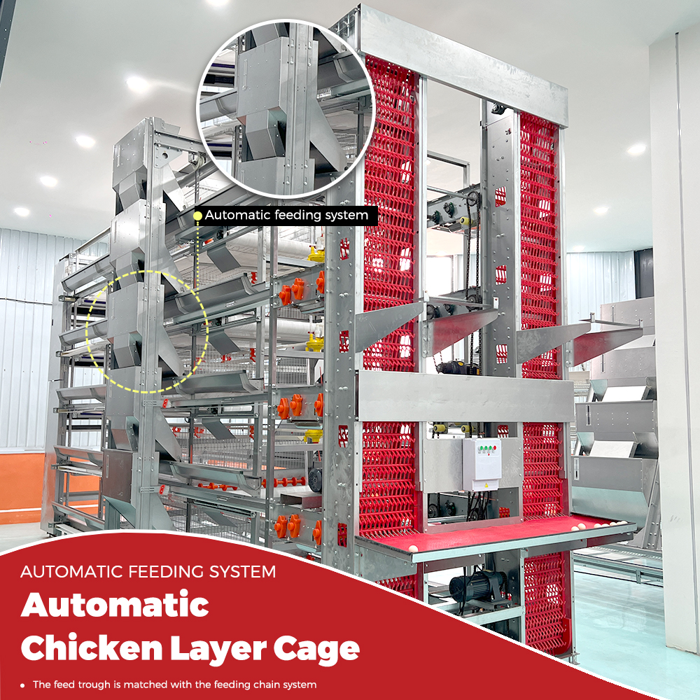 H Type Fully Automatic Animal Chicken Cage Laying 120/160 Capacity 20000 Birds Poultry Breeding Battery Egg Layer Cage for Sale