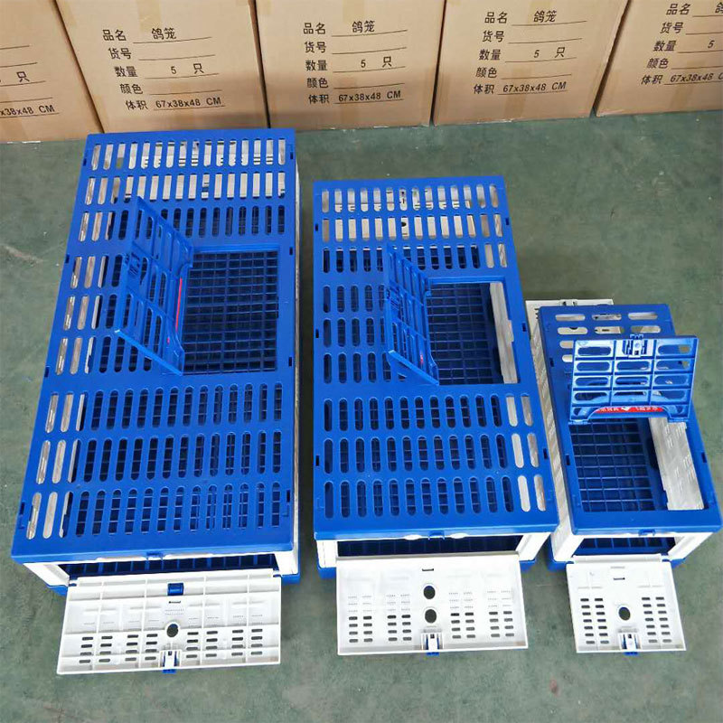 Pigeon Cage Image 3
