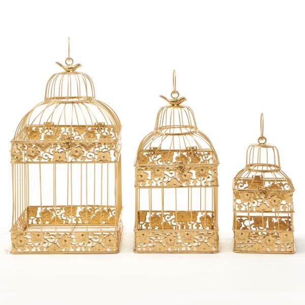 Bird Cage Showcase 8
