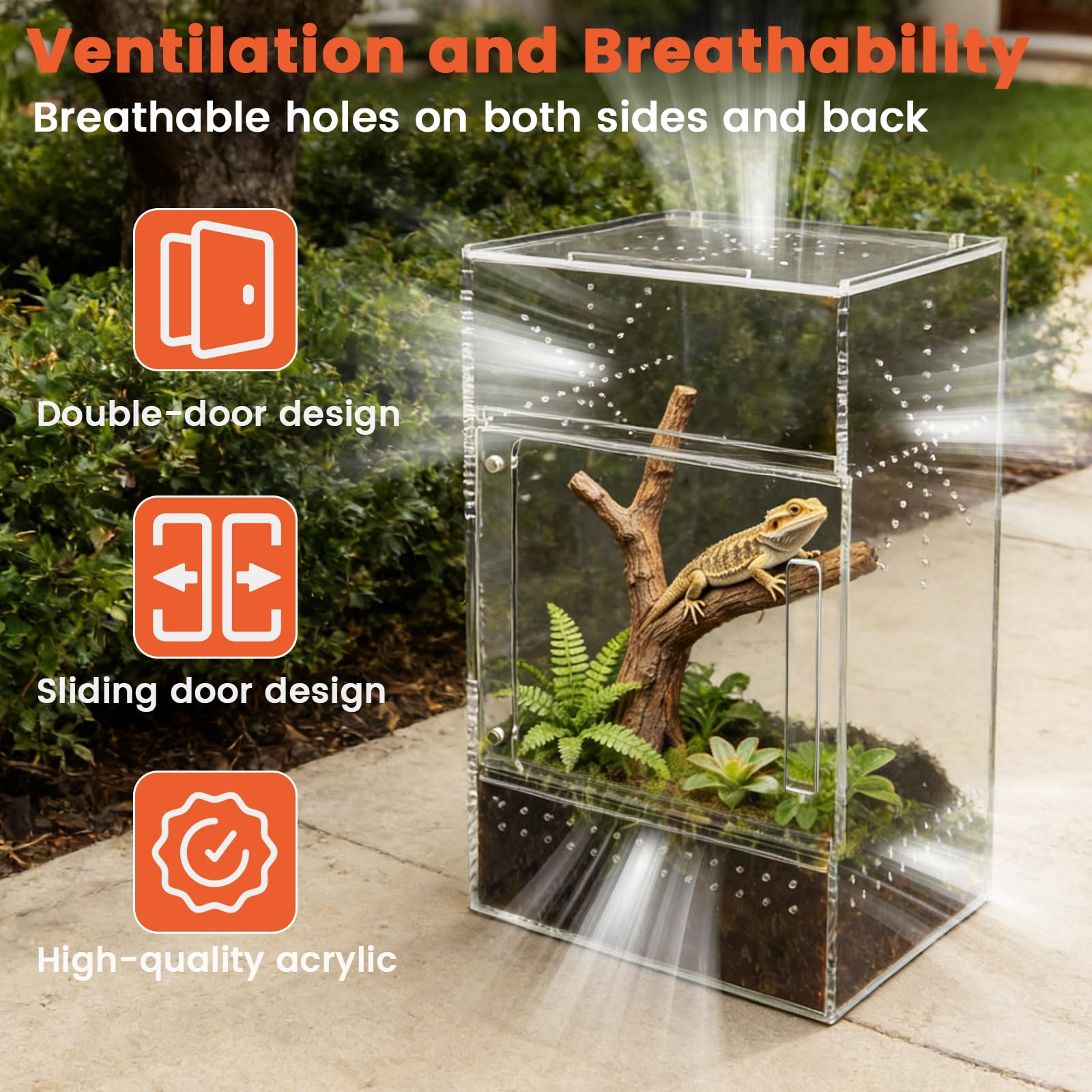 Sleek Transparent Plexiglass Cage With Micro Ventilation Holes Escape Proof Magnetic Closure Vertical Small Scale Breeding Case