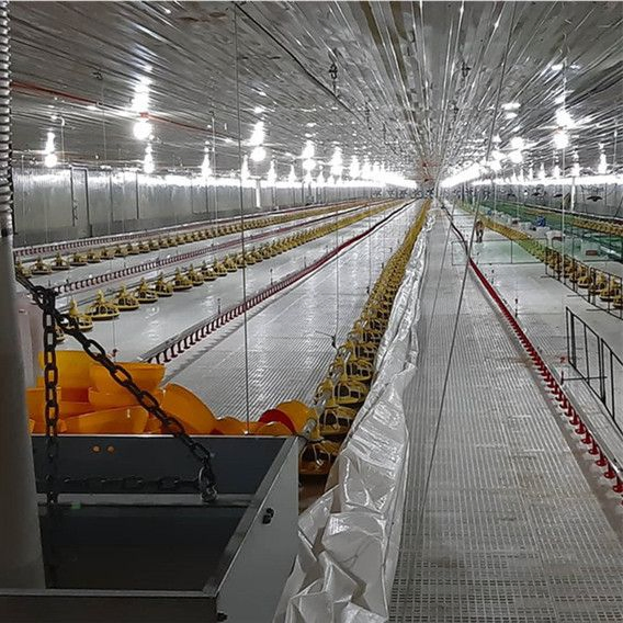 Advanced Design Complete Controlled Poultry Shed Farm Building Prefabricated Housing Steel Structure