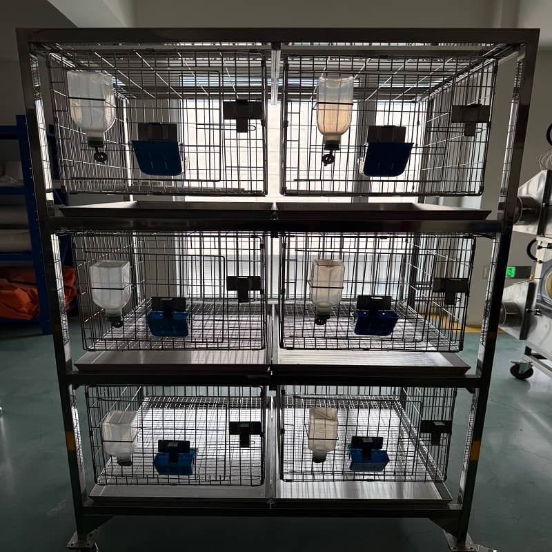 Product Showcase 2