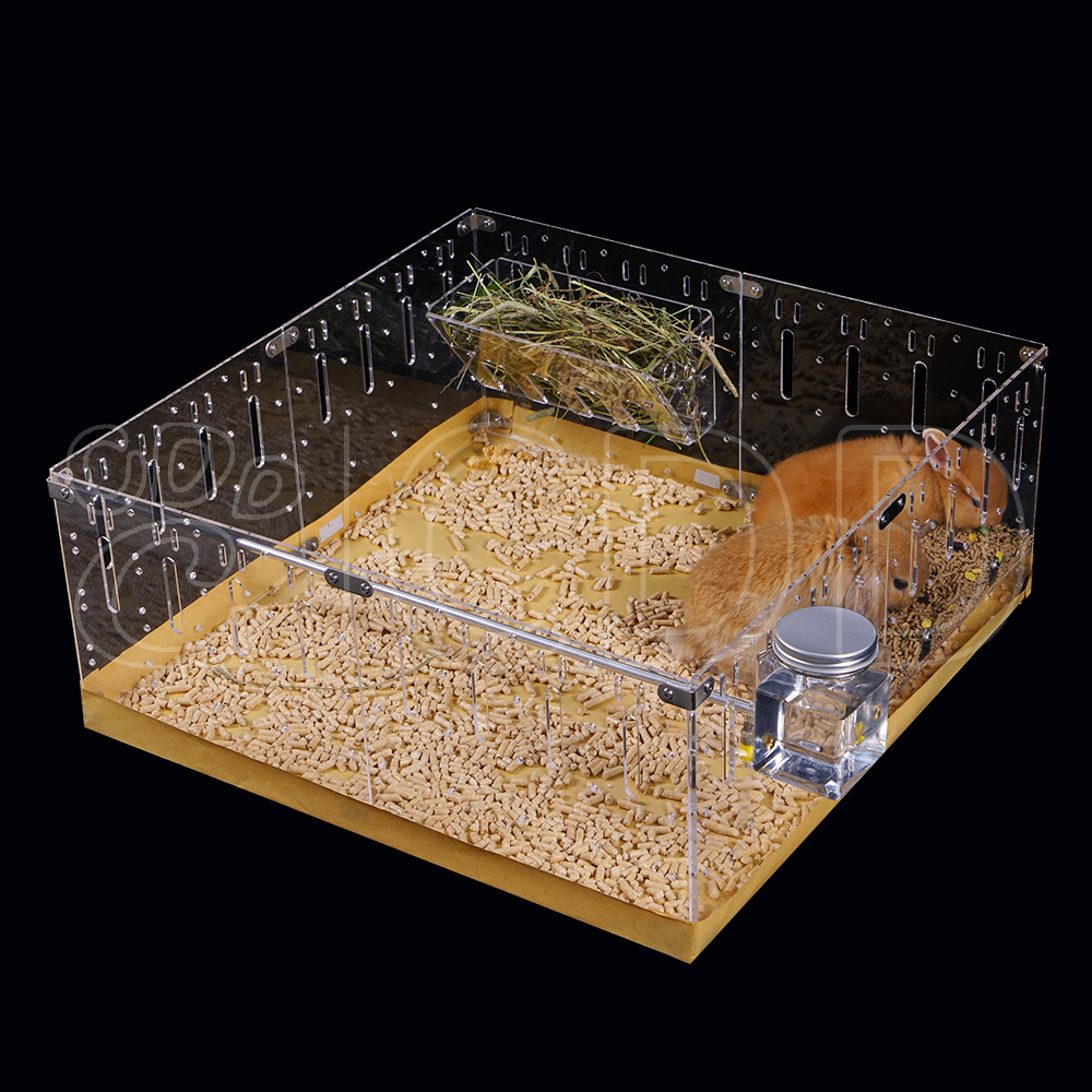 Acrylic Pet Enclosure Display 1