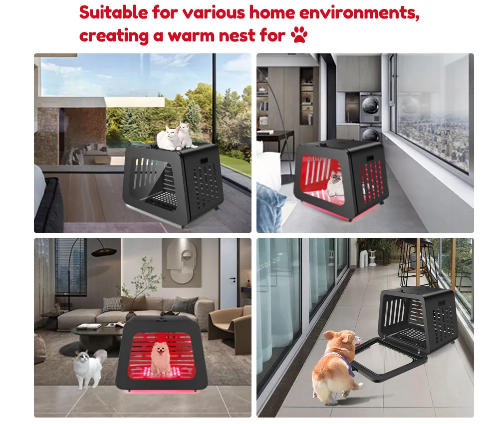 Multi-functional Pet Therapy Device