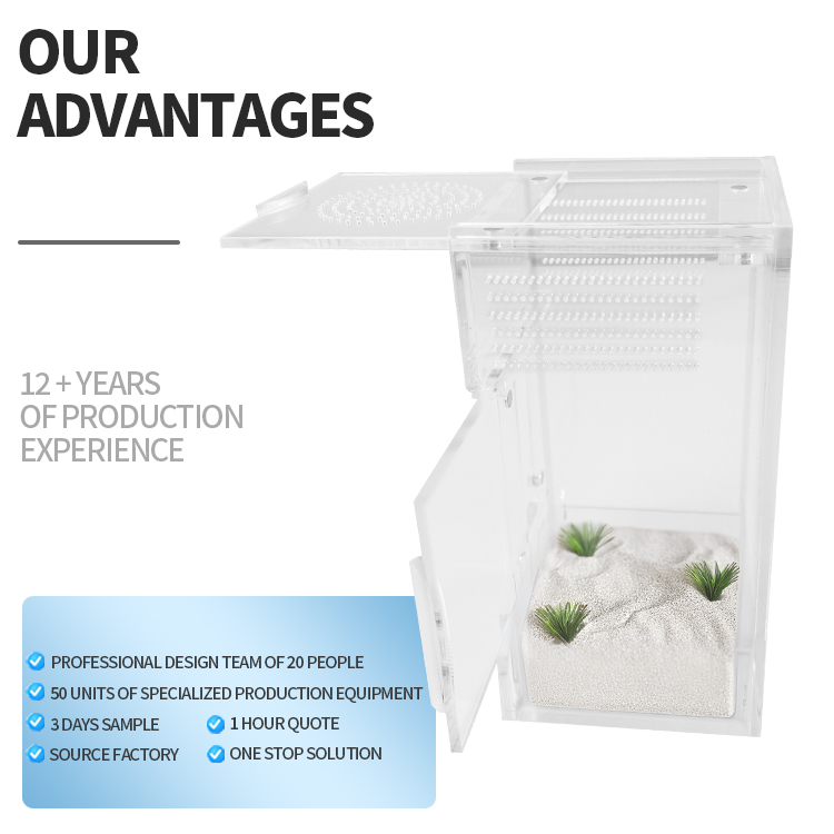 Custom Modern Large Volume Slider Opening Acrylic Transparent LED Light Pet Reptile Organic Ecological Box Perforated