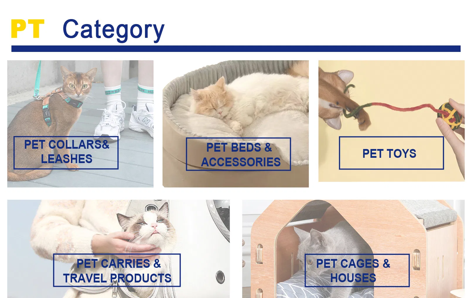 Airline-Approved Portable Pet Air Travel Carrier Dimensions