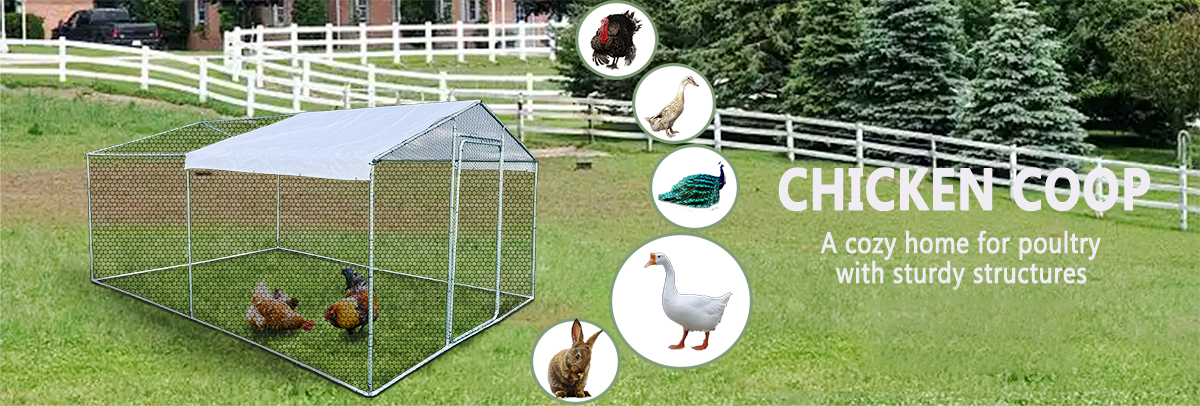Metal Poultry Cage Detail 6