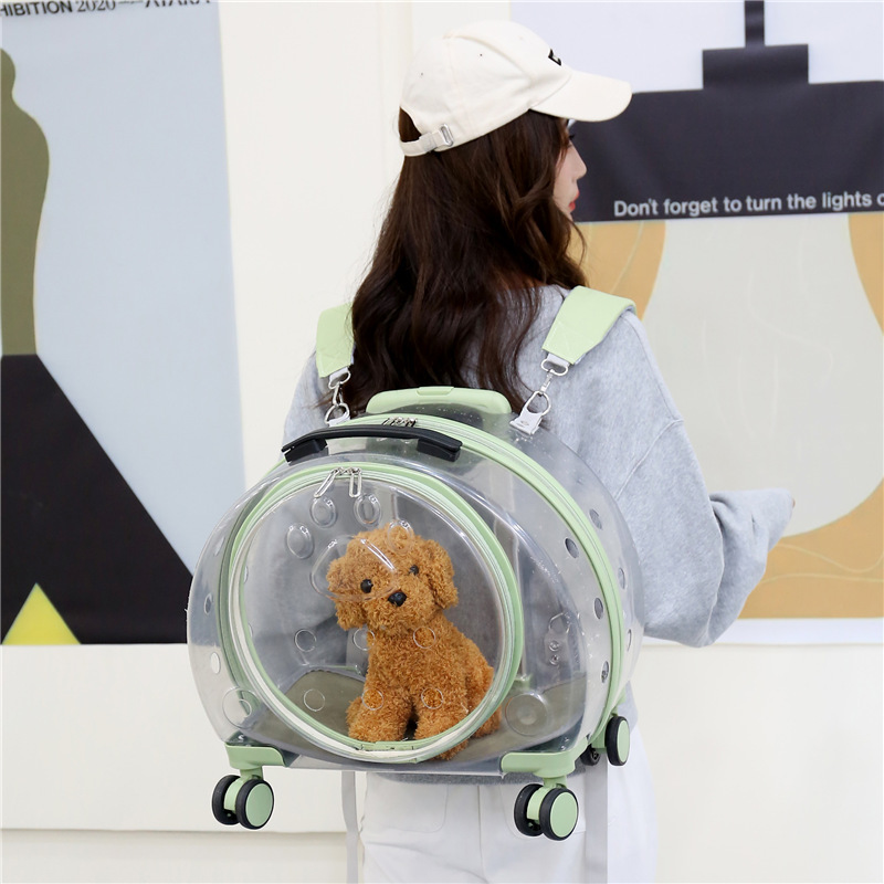 Wholesale Fashion Pet Carrier Wheels Breathable Animal Pattern Dog Cat Travel Backpack Pet Trolley Bag