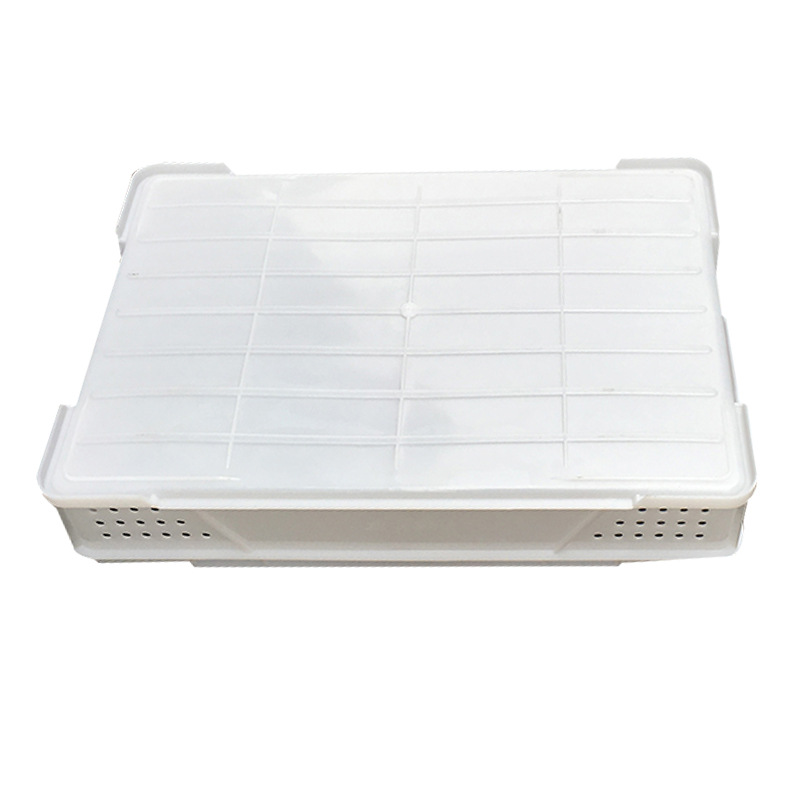 Customized Plastic Bread Tray Mesh Fruit Vegetable Basket Food Grade Plastic Crates Stackable Food Box