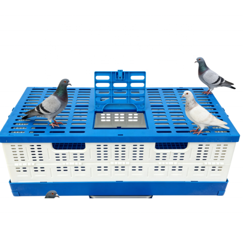 Foldable Plastic Pigeon Flying Cage for Bird Breeding Bird Carrier Portable Transport Crate Racing Pigeon Cage Training Box