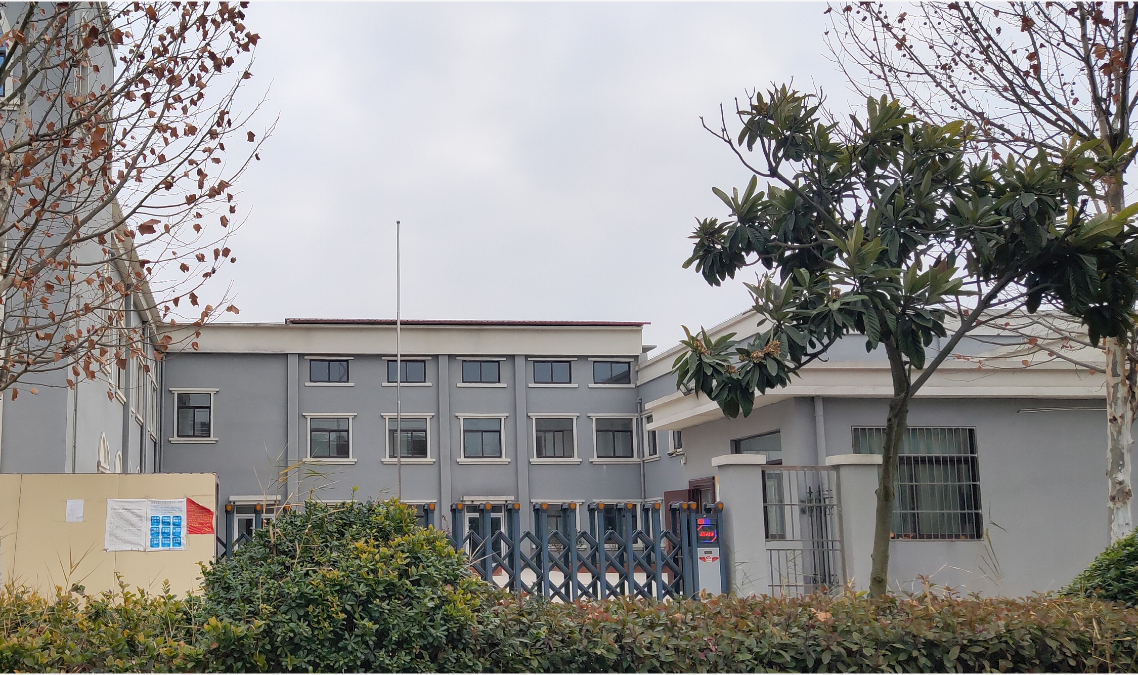Company Overview