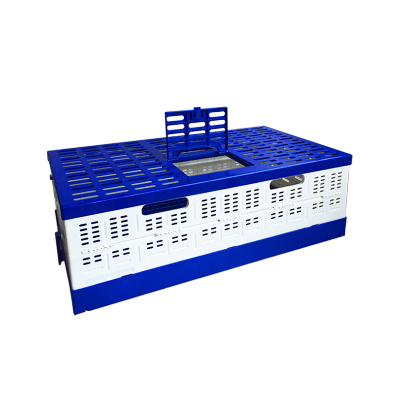 Portable Pigeon Transport Crate Foldable Racing Pigeon Cage Training Box for Pigeon