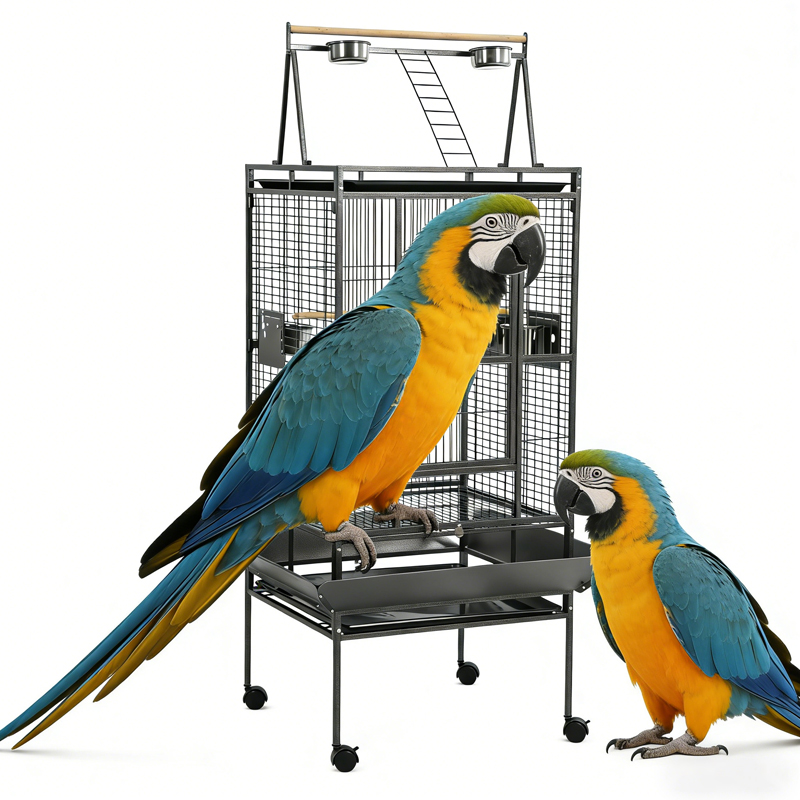 Heavy Duty Rolling Large Metal Bird Cage With Wheels Removable Tray for Parrots Easy Move Clean Home Aviary for Sale