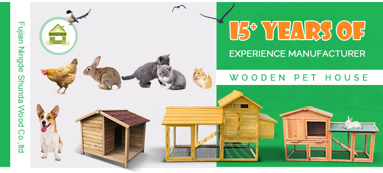 Pet House Showcase 1