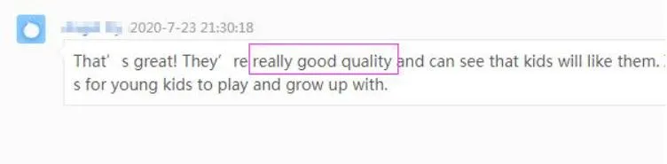 Customer Review 2