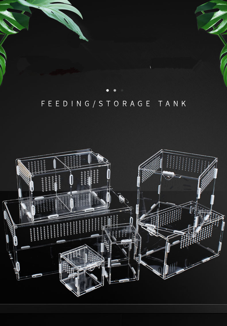 Acrylic Reptile Breeding Box Details