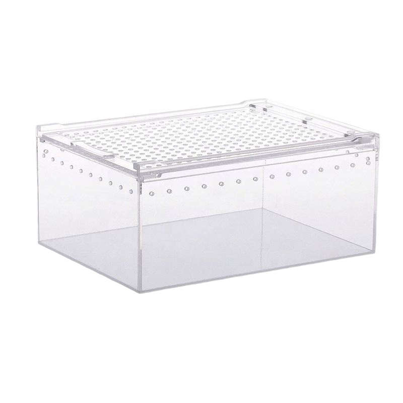 Clear Acrylic Reptile Breeding Box with Removable Lid and Ventilation Holes, Transparent Pet Insect Spider Enclosure
