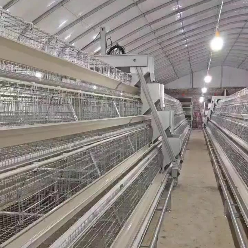 Expandable Modular System for Gradually Growing Poultry Farm Galvanized Chicken Cage