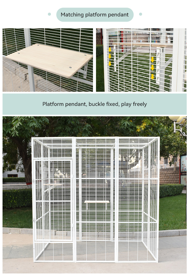 Product Detail 7