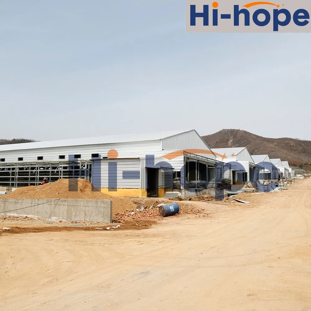 Durable Steel Structure Poultry House Building with Prefabricated Roofing Panels Ventilation Cooling and Heating Systems