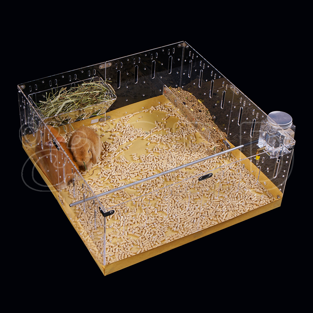 Acrylic Pet Enclosure Display 4