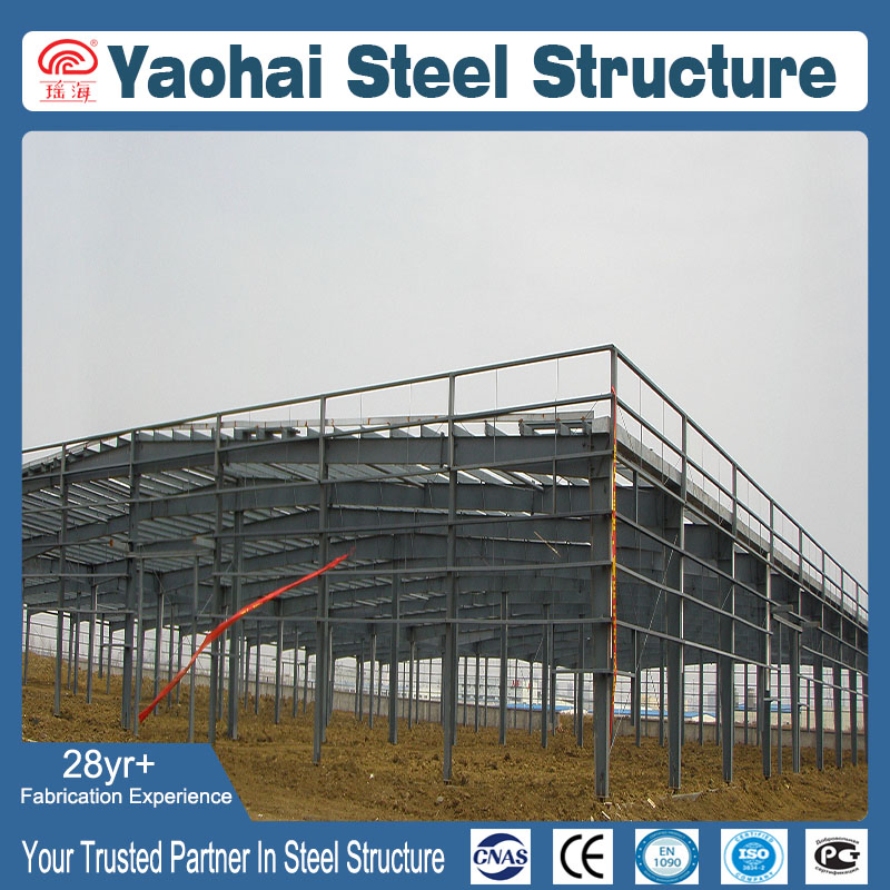 Spacious Livestock Steel Structure for Cattle and Poultry Housing