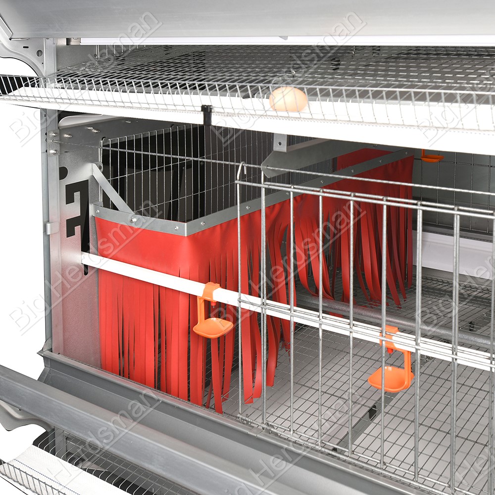 Poultry Breeder Cage System With Adjustable Three Level Water Line For Commercial Breeding Operations