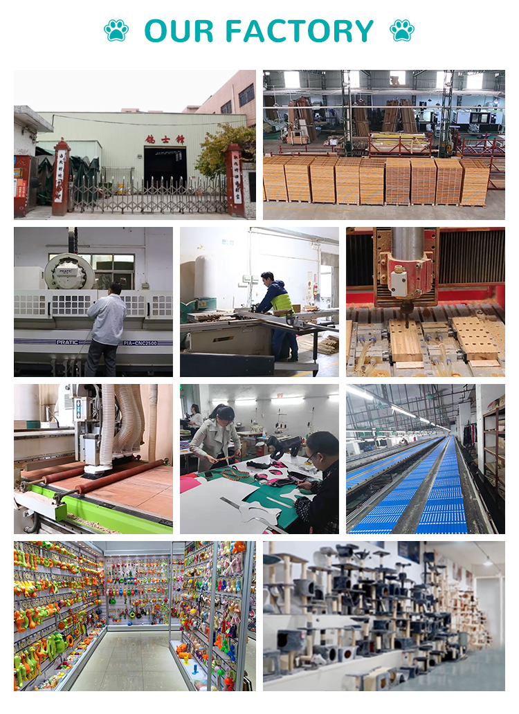 Our Factory