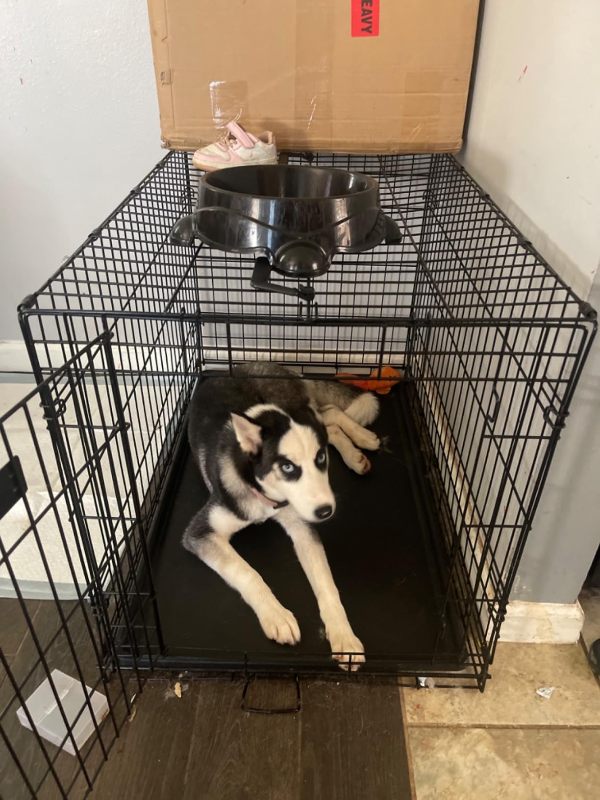 Portable Foldable Luxury Classic Dog Cage for Large Breeds Travel &amp; Indoor/Outdoor Use