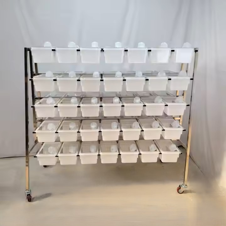Ventilated Small Rodent Cage with Removable Tray BPA-Free Plastic, Odorless, for 2-4 Hamsters/Mice